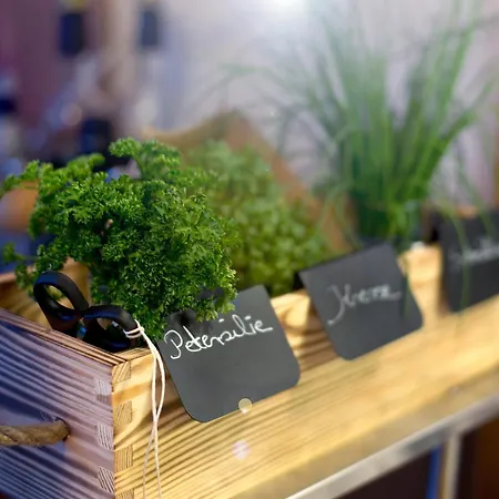 Hotel Kneipp-bund-hotel Heikenberg Bad Lauterberg