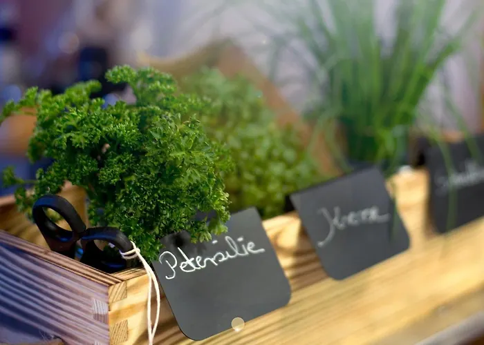 Отель Kneipp-bund-hotel Heikenberg Бад-Лаутерберг